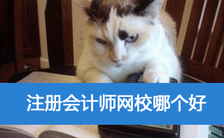 注会在线学习那个网站比较好