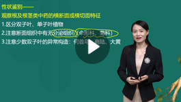 钱韵文执业药师